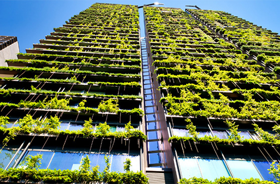Meet Green Demands With SummitBoard