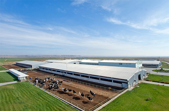 Choose SummitBoard for your Agricultural Structures